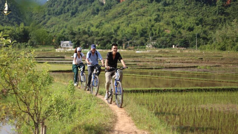 From Hanoi: 2-Day Ninh Binh Tour with Ha Long Bay Cruise - Sung Sot Cave: The Big, Impressive One