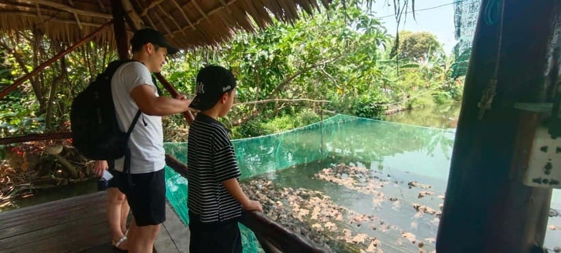From HCM 1-day Cai Rang floating market local mekong village - Who Should Book This Cai Rang and Island Day?