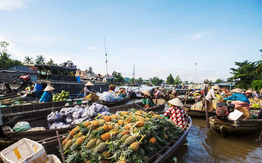 From HCM: Mekong Delta & Cai Rang Floating Market 2-Day Tour - Why the Mekong Delta Feels Different in Two Days