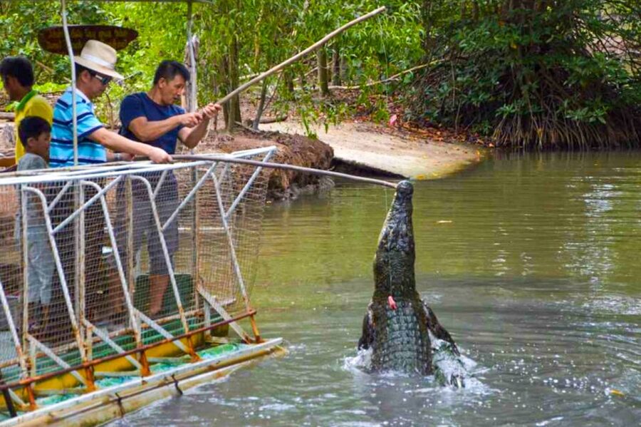 From Ho Chi Minh: Can Gio Mangrove Forest & Monkey Island - Can Gio Mangrove Forest: Your Day Trip’s Living Ecosystem