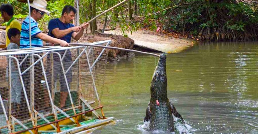 From Ho Chi Minh: Can Gio Mangrove Forest & Monkey Island - The Mangrove Walk: Fresh Air and Riverbank Daily Life