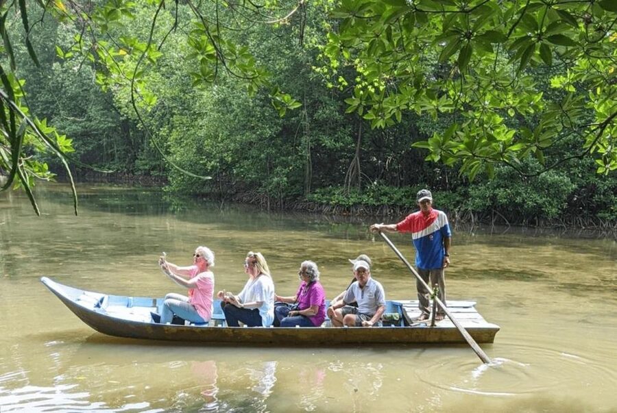 From Ho Chi Minh: Can Gio Mangrove Forest & Monkey Island - Crocodile Farm and Crocodile Fishing: What You’re Actually Watching