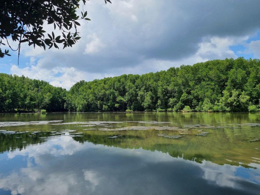 From Ho Chi Minh: Can Gio Mangrove Forest & Monkey Island - Price and What You Get for $152