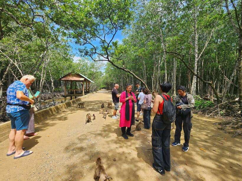 From Ho Chi Minh: Can Gio Mangrove & Monkey Island Day Trip - A day that mixes Can Gio nature and real wartime history
