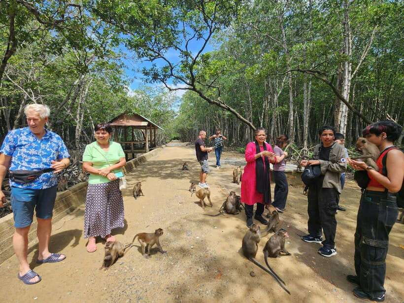 From Ho Chi Minh: Can Gio Mangrove & Monkey Island Day Trip - Monkey Island in Can Gio: photos, monkey food, and realistic expectations