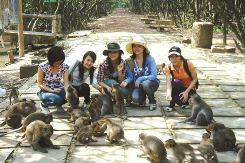 From Ho Chi Minh: Can Gio Mangrove & Monkey Island Day Trip - Sac Guerilla Camp: the wartime stop that gives context