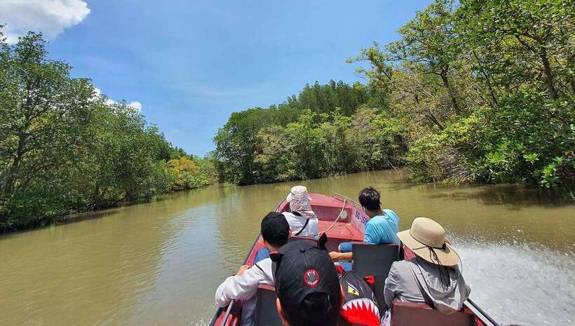 From Ho Chi Minh: Can Gio Mangrove & Monkey Island Day Trip - Lunch, fish market scenes, and where to swim at Can Gio Resort