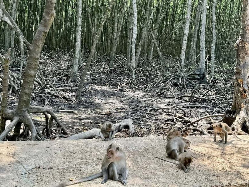 From Ho Chi Minh: Can Gio Monkey Island & Mangrove Tour - What to bring for Can Gio: the real checklist