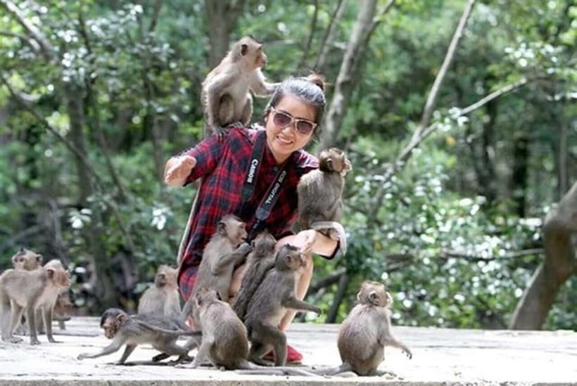 From Ho Chi Minh: Can Gio Monkey Island & Mangrove Tour - Entering Monkey Island: feeding 1,000+ monkeys