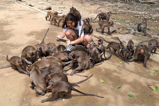 From Ho Chi Minh: Can Gio Trek – Monkey Island & Crocodile Farm - Rung Sac Military Base: War History in Reconstructed Bunkers