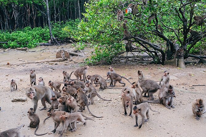 From Ho Chi Minh: Can Gio Trek – Monkey Island & Crocodile Farm - Optional Speedboat to Sac Guerrilla Base: Worth It for Time and Thrill