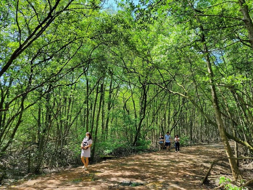 From Ho Chi Minh City: Can Gio Mangrove & Monkey Island Trek - The Can Gio twist: wildlife and history near the city
