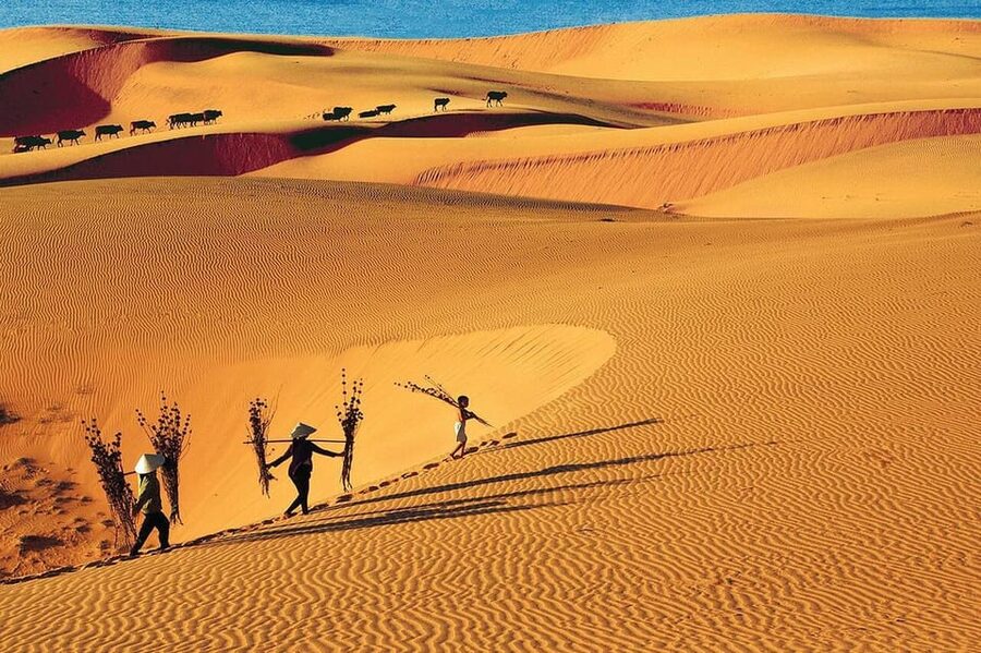 From Ho Chi Minh City: Relax In Mui Ne Beach In 1 Day - Red Sand Dunes: Why the Color Photos Work