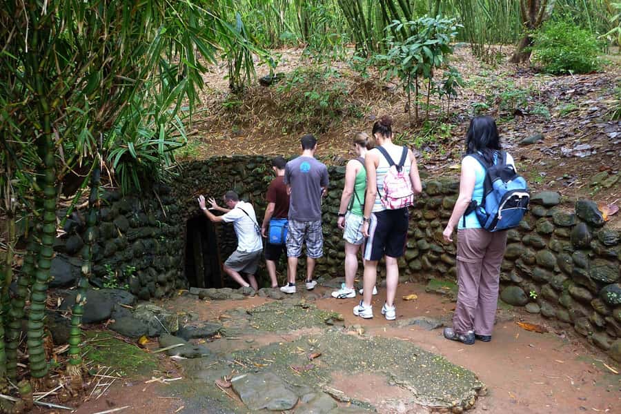 From Ho Chi Minh: Cu Chi Tunnels Morning or Afternoon(Small) - Tea, cassava, and small breaks that keep the day human