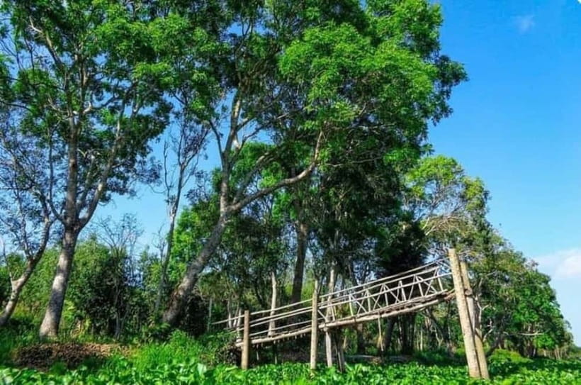 From Ho Chi Minh: Mekong Delta 3-Day Tour with Tra Su Forest - Practical tips to make this tour feel worth it