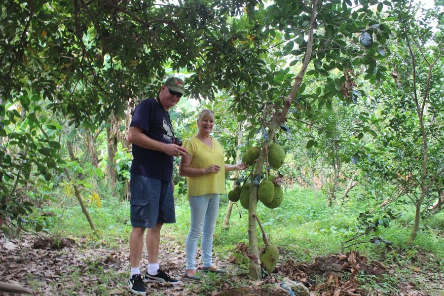 From Ho Chi Minh: Mekong Delta Private Day Tour - A day-trip rhythm that actually makes sense