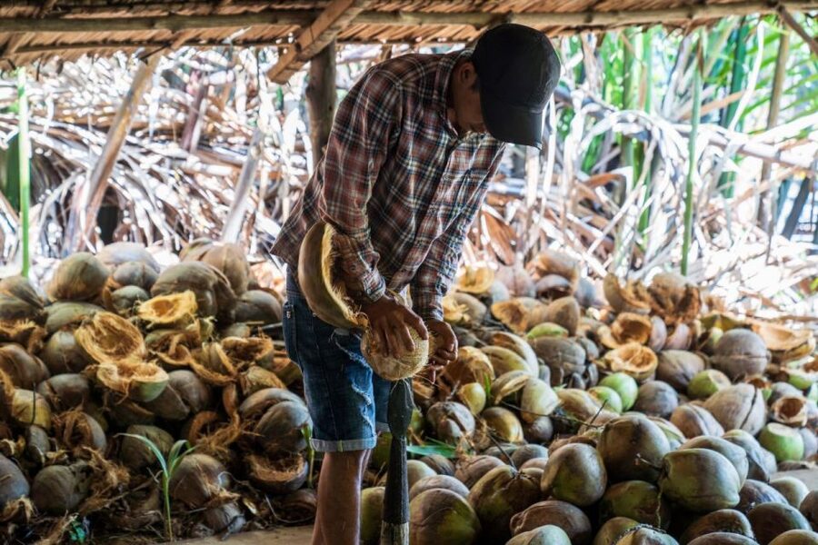 From Ho Chi Minh: Mekong Delta with Ben Tre 1 Day Tour - Key highlights you’ll actually feel
