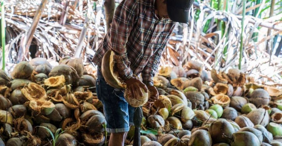 From Ho Chi Minh: Mekong Delta with Ben Tre 1 Day Tour - Getting out of Ho Chi Minh: the 2-hour run to Ben Tre