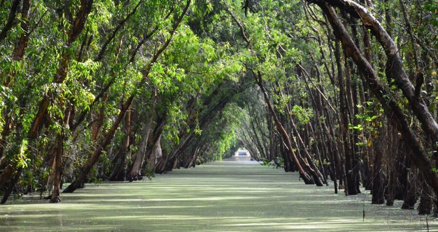 From Ho Chi Minh: Three-Day Mekong Delta Tour - Key Highlights You’ll Actually Care About