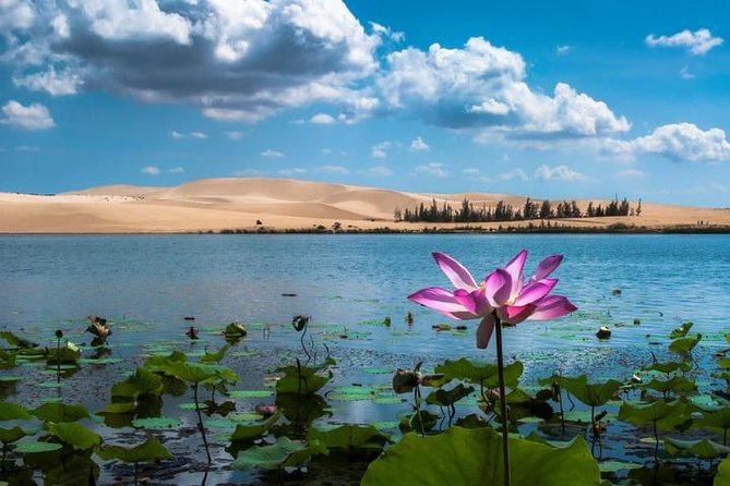 From Ho Chi Minh To Mui Ne Best Day Trip | Sunset Tour - Meeting the day: Suoi Tien Fairy Stream and what to wear