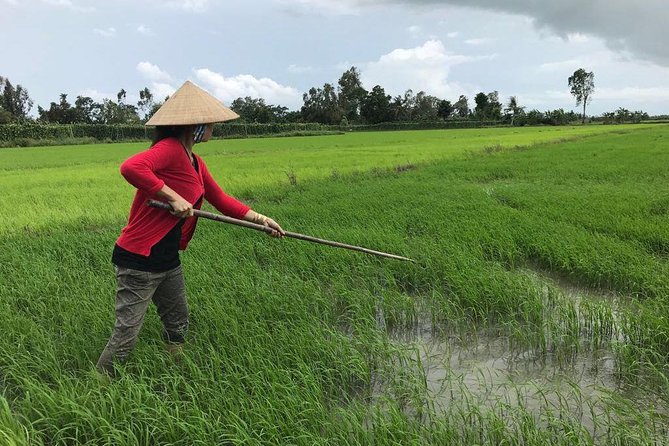 FULL Day - CAI RANG FLOATING MARKET, COOKING CLASS AND EXPLORE THE COUNTRYSIDE - A cacao orchard stop that fits the local food story