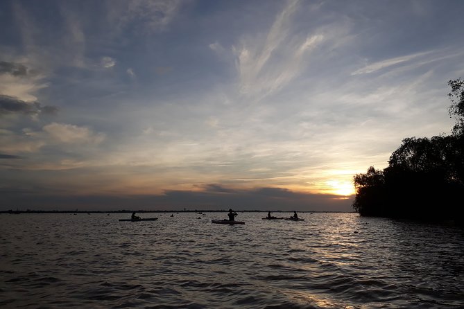 Full Day Experience Mekong River Life By Kayak & Boat. - Key highlights you should care about