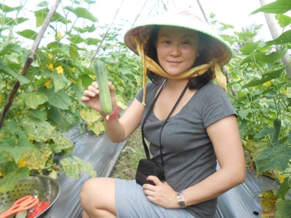 Full-Day Farming & Cooking class at Agricultural Village - Key highlights worth planning for