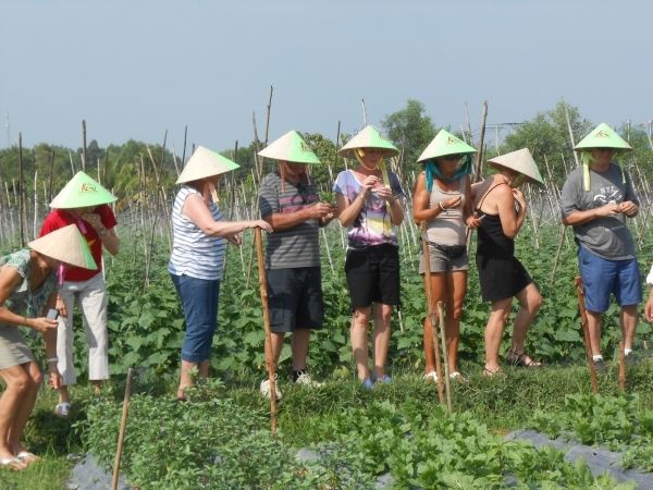 Full-Day Farming & Cooking class at Agricultural Village - Harvest time with a bamboo basket: what you’ll actually pick