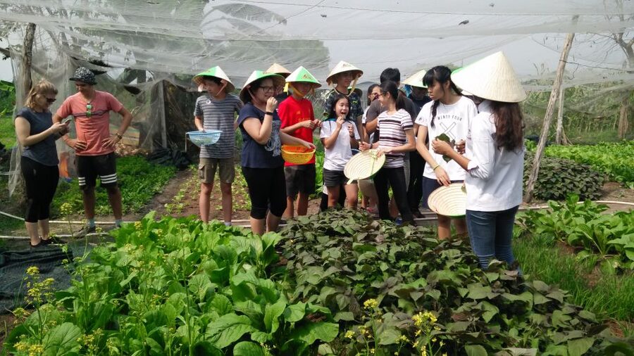 Full-Day Farming & Cooking class at Agricultural Village - Transportation, guide, and included extras: what’s in the $70