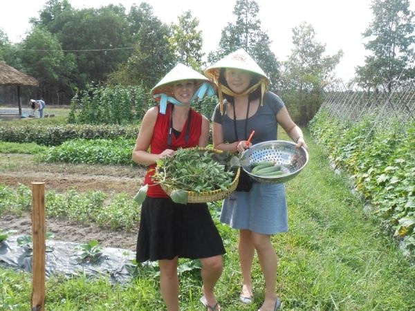 Full-Day Farming & Cooking class at Agricultural Village - Who this tour suits best (and who may want to rethink)