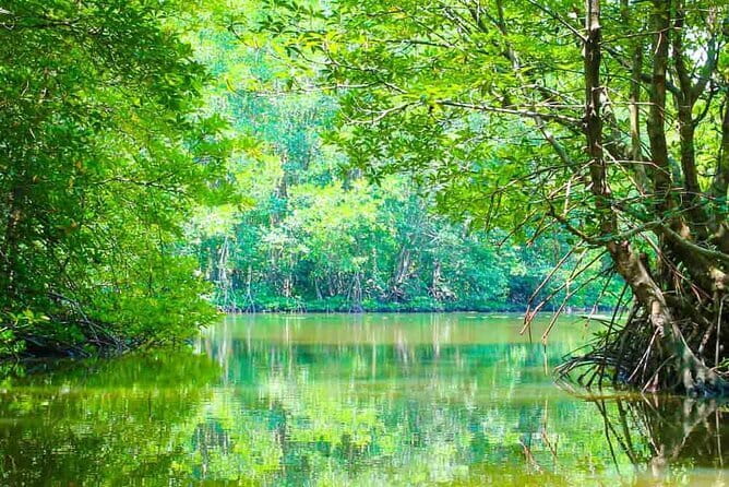 Full-Day Private Bike Tour of the Cu Chi Tunnels with Lunch - Lunch Right After History: Fuel That Helps You Enjoy the Ride
