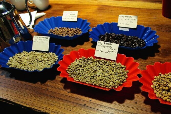Hands-on making 3 Iconic Coffees of South Central North Vietnam - Meet Quynh: the host behind the three-region coffee puzzle