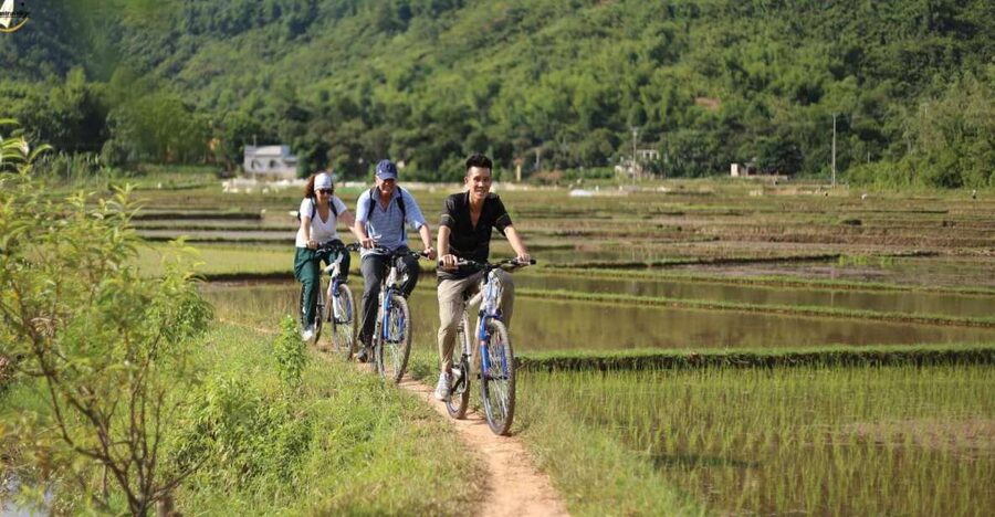 Hanoi: Full Day Guided Tour of Hoa Lu, Trang An, Mua Cave - Pickup and limousine bus comfort (plus what you get onboard)