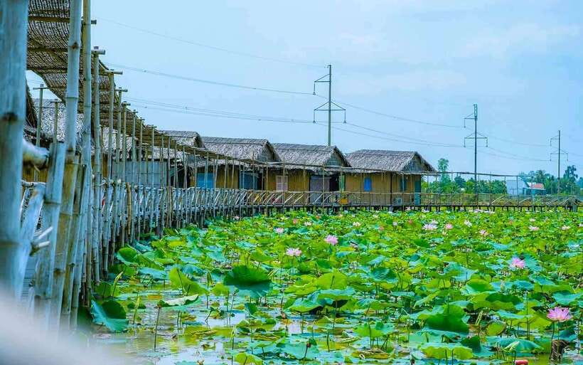 HCM: Authentic Dong Thap Mekong Delta Day Trip & Boat Ride - Who This Day Trip Is For (and Who Should Skip)