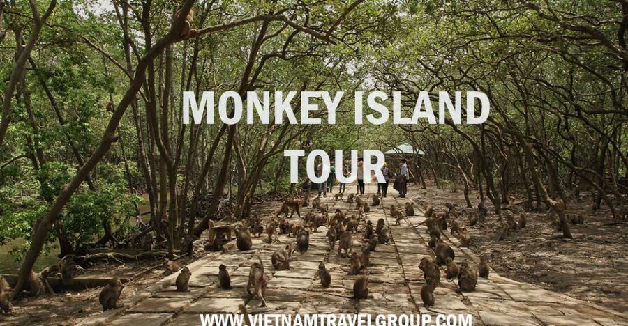 HCM:Can Gio Mangrove Forest Tour-Monkey Island - From Ho Chi Minh City to Cần Giờ: a wildlife day that actually fits