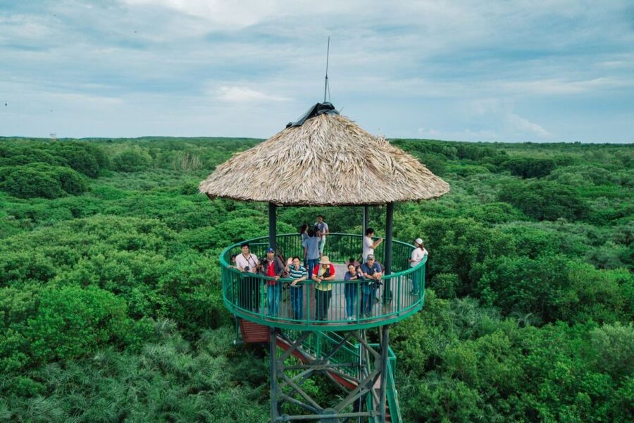 HCM:Can Gio Mangrove Forest Tour-Monkey Island - Crocodile farm: close-up reptiles and the optional thrill on weekends