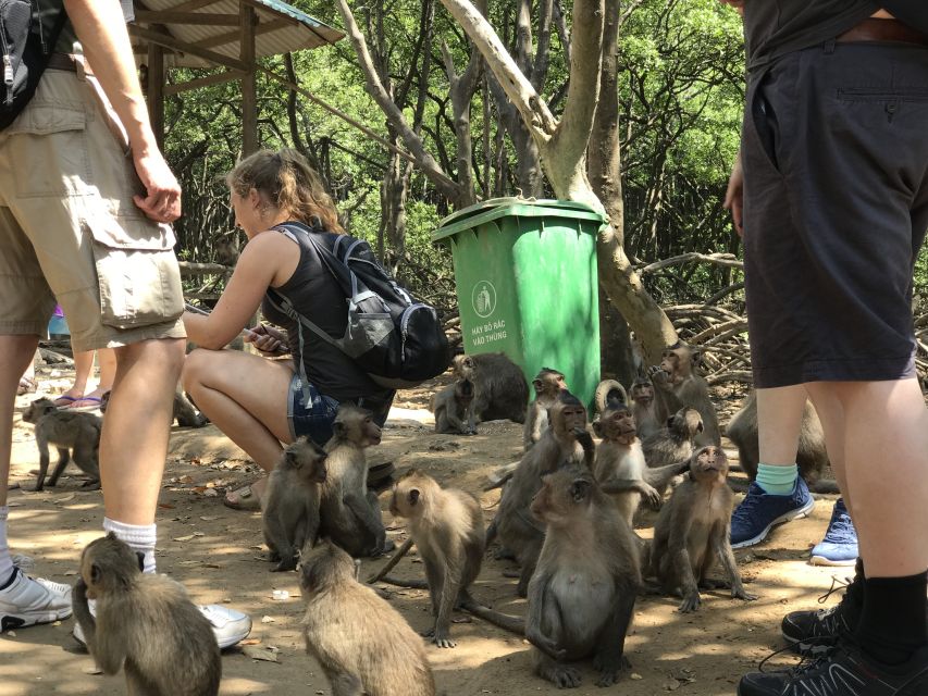 HCM:Can Gio Mangrove Forest Tour-Monkey Island - The return drive plus a quick market browse