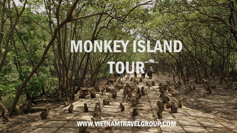 HCM:Can Gio Mangrove Forest Tour-Monkey Island - Monkey Island etiquette: how to enjoy macaques without losing your stuff