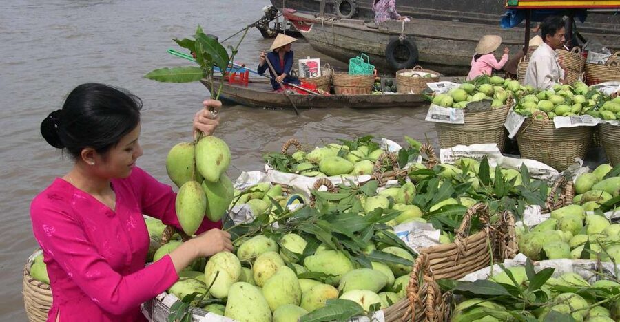 HCMC: Cai Rang Floating Market & Mekong Delta Private Tour - Your boat ride at Cai Rang: bartering, fruit boats, and coffee breaks