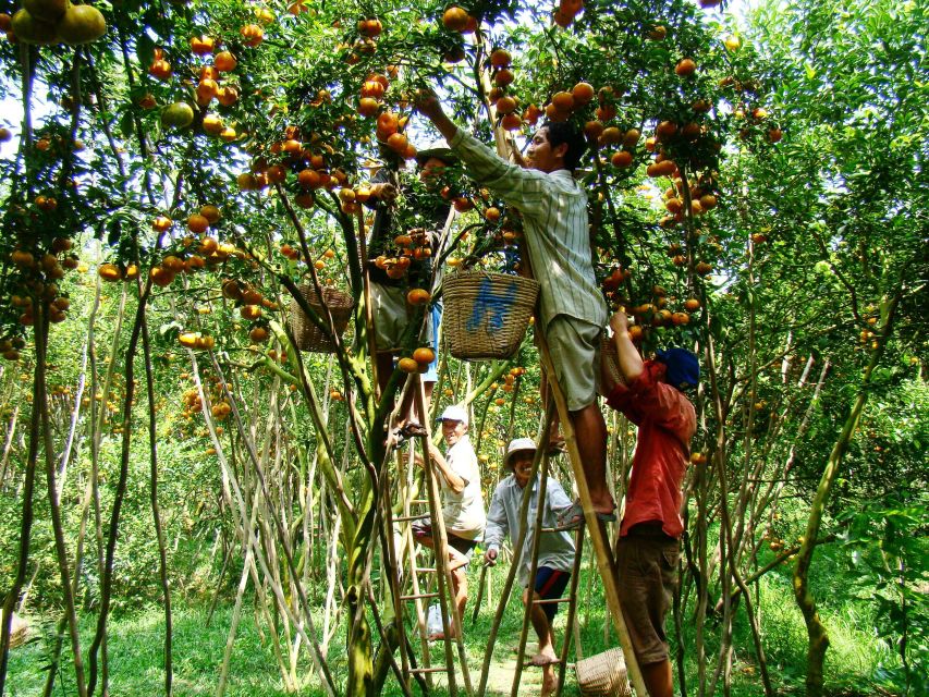 HCMC: Cai Rang Floating Market & Mekong Delta Private Tour - Price and value: what $140 per person really covers
