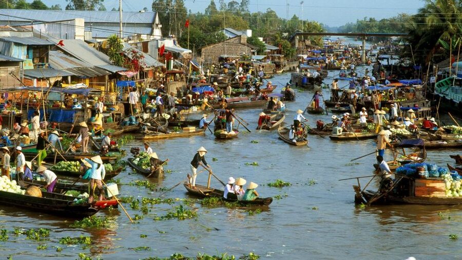 HCMC: Cai Rang Floating Market & Mekong Delta Private Tour - Who should book this private Mekong Delta day (and who might not)
