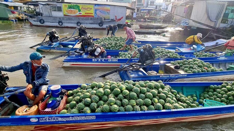 HCMC: Mekong Delta 2-Days My Tho–Ben Tre & Cai Rang Market - Can Tho Arrival and the Can Tho River Dinner Cruise
