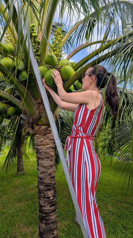 Ho Chi Minh: 1-Day Mekong Delta Tour-Floating Market & Islet - Traditional Cakes and Pop Rice on the Islet
