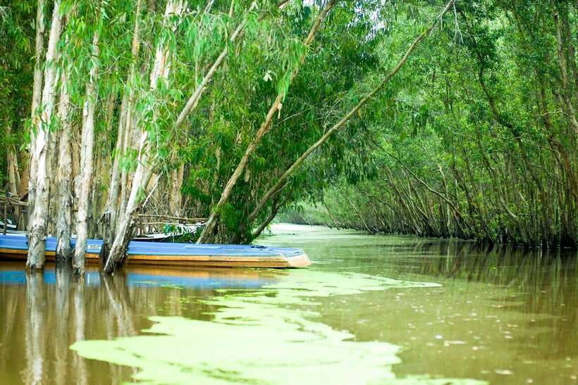 Ho Chi Minh: 3-Day Mekong Delta & Optional Exit to PhnomPenh - Day 3: floating villages, Cham heritage, and the Phnom Penh exit option