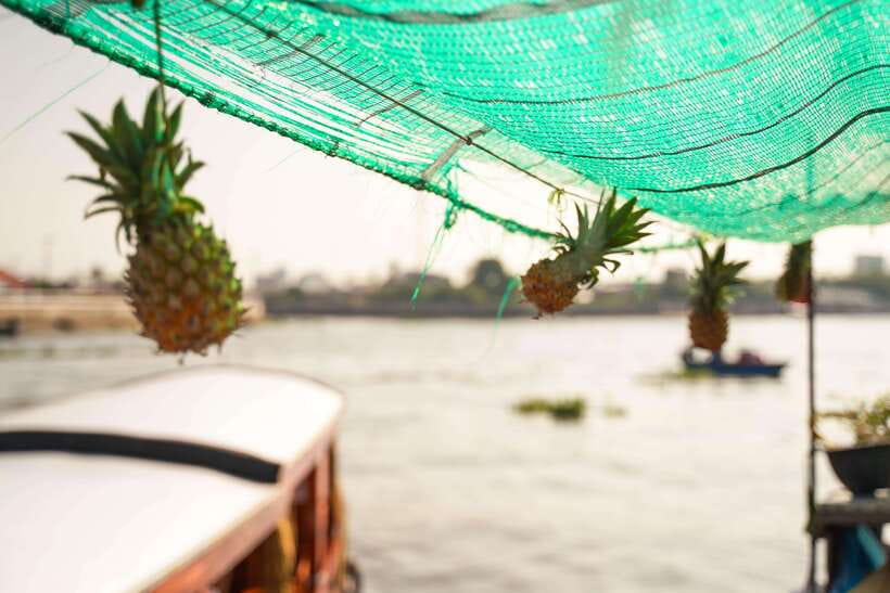 Ho Chi Minh: 3-Day Mekong Delta & Optional Exit to PhnomPenh - Price and logistics: does $261 feel fair for what’s included?