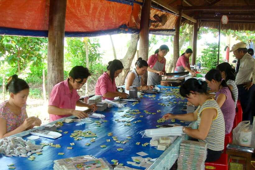 Ho Chi Minh: 3-Day Mekong Delta & Optional Exit to PhnomPenh - Should you book this Mekong Delta to Phnom Penh tour?