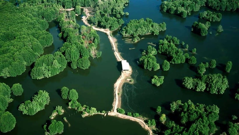 Ho Chi Minh: CAN GIO BISOPHERE RESERVE- ISLAND MONKEY - Sac Forest Revolutionary Base: choose trek or canoe