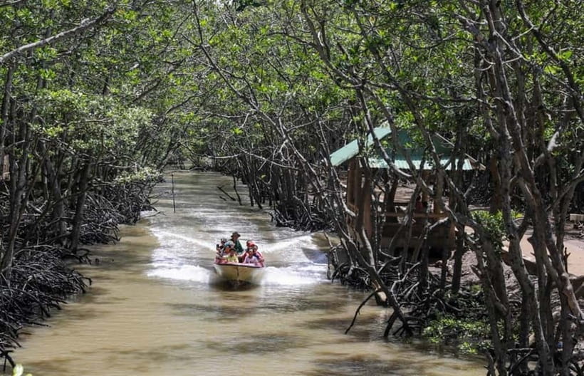 Ho Chi Minh: CAN GIO BISOPHERE RESERVE- ISLAND MONKEY - Hoa Ca crocodile farm and optional crocodile fishing