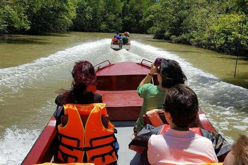 Ho Chi Minh: Can Gio Mangrove and Monkey Island - Key points before you go