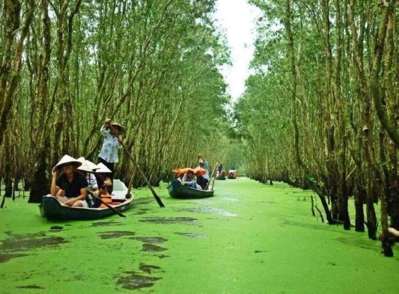 Ho Chi Minh: Can Gio Mangrove and Monkey Island - Monkey Island Feeding Time: How to Stay Safe When the Mangrove Monkeys Get Curious